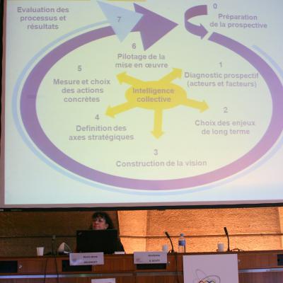 2012-12-03. Millennia2025 UNESCO Paris - 05. Strategic Forum - From strategy to action
