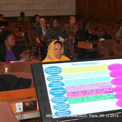 2012-12-03. Millennia2025 UNESCO Paris - 05. Strategic Forum - From strategy to action