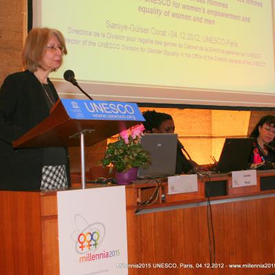 2012-12-03. Millennia2025 UNESCO Paris - 06. Third Plenary Session