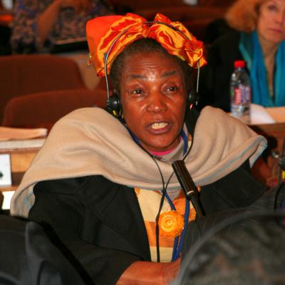 2012-12-03. Millennia2025 UNESCO Paris - 06. Third Plenary Session