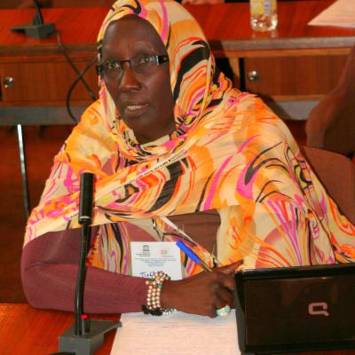 2012-12-04. Millennia2025 UNESCO Paris - 07. Fourth Plenary Session